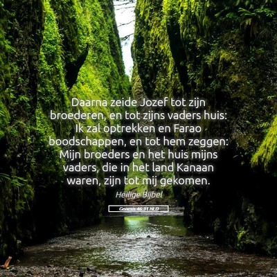 Picture 05 - Genesis 46:31 NLD - Daarna zeide Jozef tot zijn broederen, en tot - Bible Verse Picture
