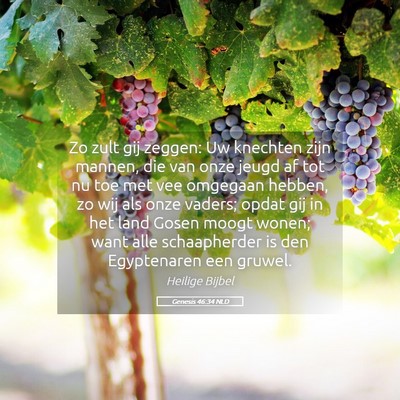 Picture 05 - Genesis 46:34 NLD - Zo zult gij zeggen: Uw knechten zijn mannen, die - Bible Verse Picture