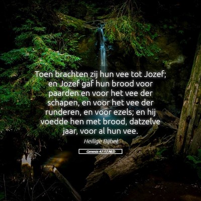 Picture 05 - Genesis 47:17 NLD - Toen brachten zij hun vee tot Jozef; en Jozef gaf - Bible Verse Picture