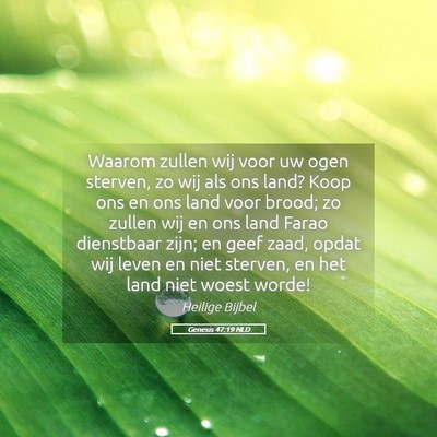 Picture 05 - Genesis 47:19 NLD - Waarom zullen wij voor uw ogen sterven, zo wij - Bible Verse Picture