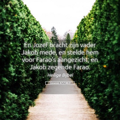 Picture 05 - Genesis 47:7 NLD - En Jozef bracht zijn vader Jakob mede, en stelde - Bible Verse Picture