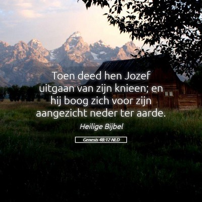 Picture 05 - Genesis 48:12 NLD - Toen deed hen Jozef uitgaan van zijn knieen; en - Bible Verse Picture