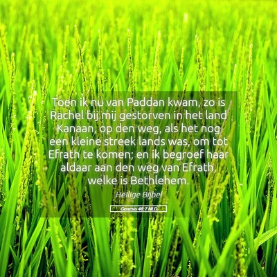 Picture 05 - Genesis 48:7 NLD - Toen ik nu van Paddan kwam, zo is Rachel bij mij - Bible Verse Picture