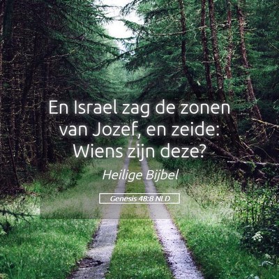 Picture 05 - Genesis 48:8 NLD - En Israel zag de zonen van Jozef, en zeide: Wiens - Bible Verse Picture