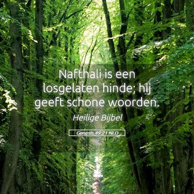 Picture 05 - Genesis 49:21 NLD - Nafthali is een losgelaten hinde; hij geeft - Bible Verse Picture