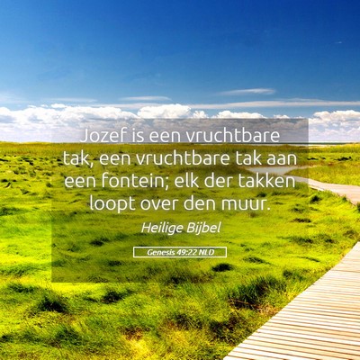 Picture 05 - Genesis 49:22 NLD - Jozef is een vruchtbare tak, een vruchtbare tak - Bible Verse Picture