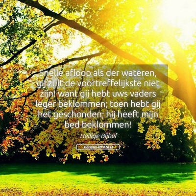 Picture 05 - Genesis 49:4 NLD - Snelle afloop als der wateren, gij zult de - Bible Verse Picture
