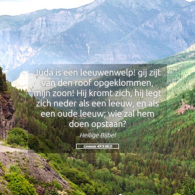 Picture 05 - Genesis 49:9 NLD - Juda is een leeuwenwelp! gij zijt van den roof - Bible Verse Picture