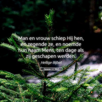Picture 05 - Genesis 5:2 NLD - Man en vrouw schiep Hij hen, en zegende ze, en - Bible Verse Picture