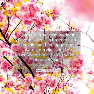 Picture 05 - Genesis 50:14 NLD - Daarna keerde Jozef weder in Egypte, hij en zijn - Bible Verse Picture