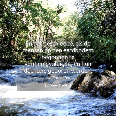 Picture 05 - Genesis 6:1 NLD - En het geschiedde, als de mensen op den aardbodem - Bible Verse Picture