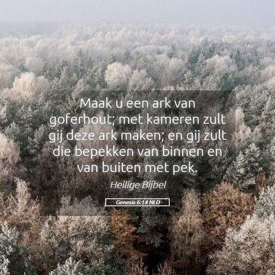 Picture 05 - Genesis 6:14 NLD - Maak u een ark van goferhout; met kameren zult - Bible Verse Picture