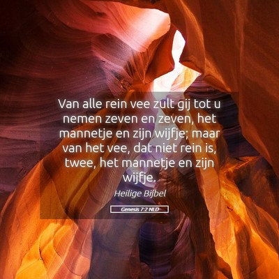 Picture 05 - Genesis 7:2 NLD - Van alle rein vee zult gij tot u nemen zeven en - Bible Verse Picture