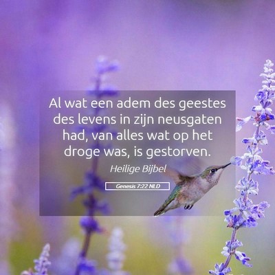 Picture 05 - Genesis 7:22 NLD - Al wat een adem des geestes des levens in zijn - Bible Verse Picture