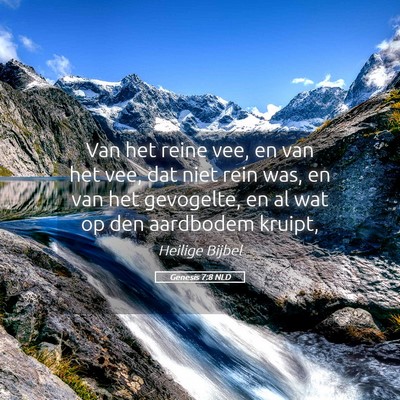 Picture 05 - Genesis 7:8 NLD - Van het reine vee, en van het vee, dat niet rein - Bible Verse Picture