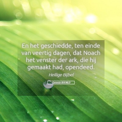 Picture 05 - Genesis 8:6 NLD - En het geschiedde, ten einde van veertig dagen, - Bible Verse Picture