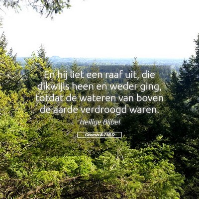 Picture 05 - Genesis 8:7 NLD - En hij liet een raaf uit, die dikwijls heen en - Bible Verse Picture