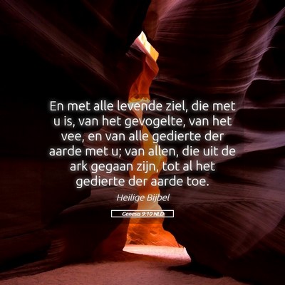 Picture 05 - Genesis 9:10 NLD - En met alle levende ziel, die met u is, van het - Bible Verse Picture