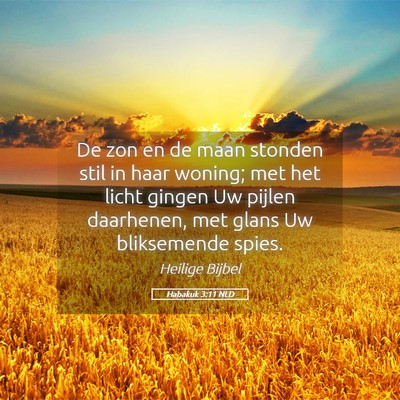 Picture 05 - Habakuk 3:11 NLD - De zon en de maan stonden stil in haar woning; - Bible Verse Picture