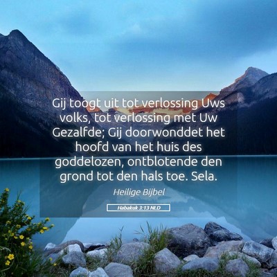 Picture 05 - Habakuk 3:13 NLD - Gij toogt uit tot verlossing Uws volks, tot - Bible Verse Picture