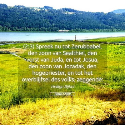Picture 05 - Haggaï 2:2 NLD - (2:3) Spreek nu tot Zerubbabel, den zoon van - Bible Verse Picture