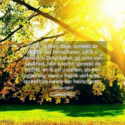 Picture 05 - Haggaï 2:23 NLD - (2:24) Te dien dage, spreekt de HEERE der - Bible Verse Picture
