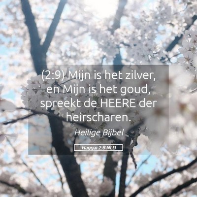 Picture 05 - Haggaï 2:8 NLD - (2:9) Mijn is het zilver, en Mijn is het goud, - Bible Verse Picture