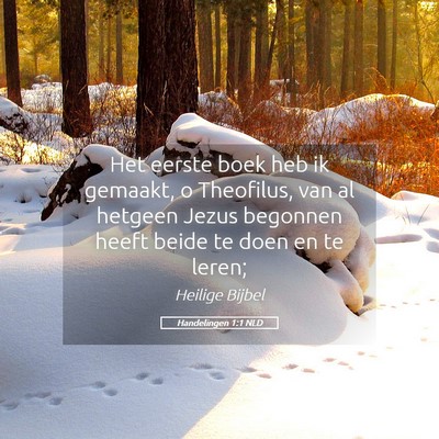 Picture 05 - Handelingen 1:1 NLD - Het eerste boek heb ik gemaakt, o Theofilus, van - Bible Verse Picture