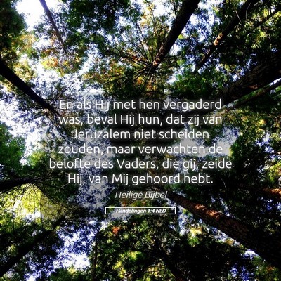 Picture 05 - Handelingen 1:4 NLD - En als Hij met hen vergaderd was, beval Hij hun, - Bible Verse Picture