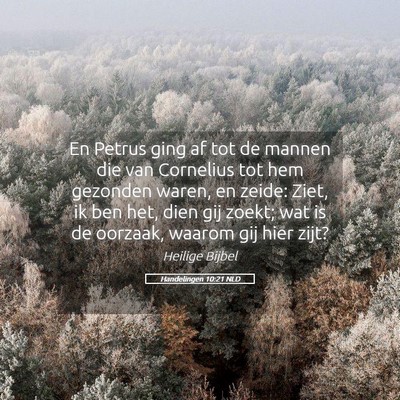 Picture 05 - Handelingen 10:21 NLD - En Petrus ging af tot de mannen die van Cornelius - Bible Verse Picture