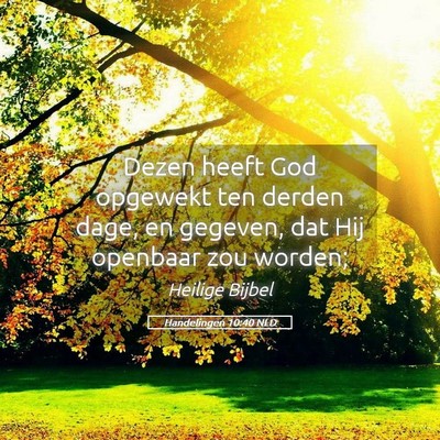 Picture 05 - Handelingen 10:40 NLD - Dezen heeft God opgewekt ten derden dage, en - Bible Verse Picture