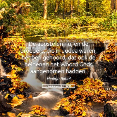 Picture 05 - Handelingen 11:1 NLD - De apostelen nu, en de broeders, die in Judea - Bible Verse Picture