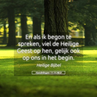 Picture 05 - Handelingen 11:15 NLD - En als ik begon te spreken, viel de Heilige Geest - Bible Verse Picture