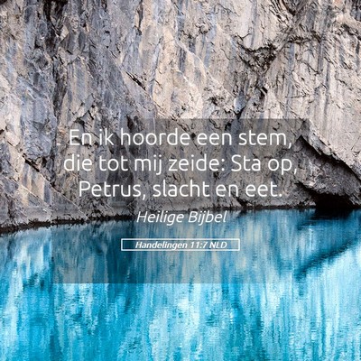 Picture 05 - Handelingen 11:7 NLD - En ik hoorde een stem, die tot mij zeide: Sta op, - Bible Verse Picture