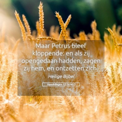 Picture 05 - Handelingen 12:16 NLD - Maar Petrus bleef kloppende: en als zij - Bible Verse Picture