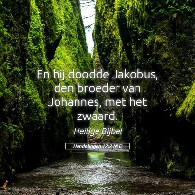 Picture 05 - Handelingen 12:2 NLD - En hij doodde Jakobus, den broeder van Johannes, - Bible Verse Picture