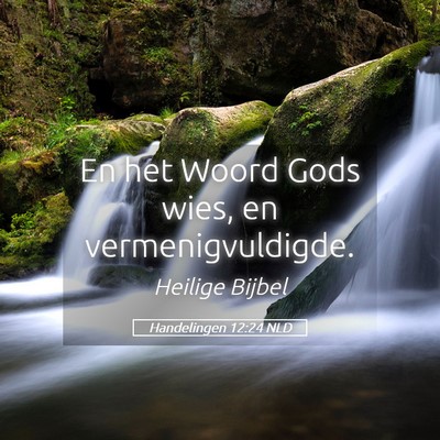 Picture 05 - Handelingen 12:24 NLD - En het Woord Gods wies, en - Bible Verse Picture