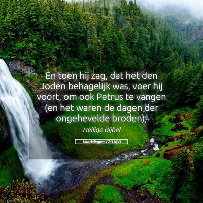 Picture 05 - Handelingen 12:3 NLD - En toen hij zag, dat het den Joden behagelijk - Bible Verse Picture