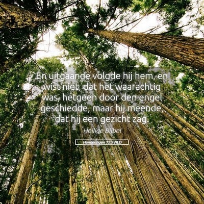 Picture 05 - Handelingen 12:9 NLD - En uitgaande volgde hij hem, en wist niet, dat - Bible Verse Picture