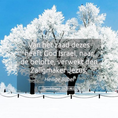 Picture 05 - Handelingen 13:23 NLD - Van het zaad dezes heeft God Israel, naar de - Bible Verse Picture