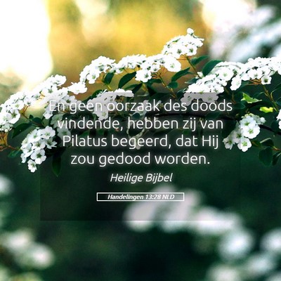 Picture 05 - Handelingen 13:28 NLD - En geen oorzaak des doods vindende, hebben zij - Bible Verse Picture