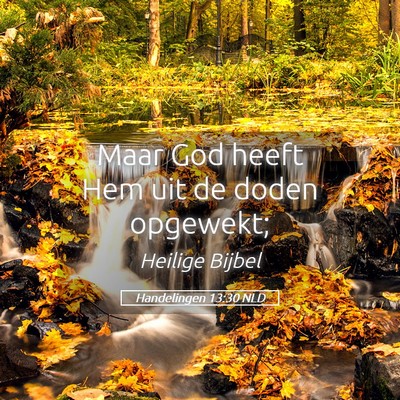 Picture 05 - Handelingen 13:30 NLD - Maar God heeft Hem uit de doden - Bible Verse Picture