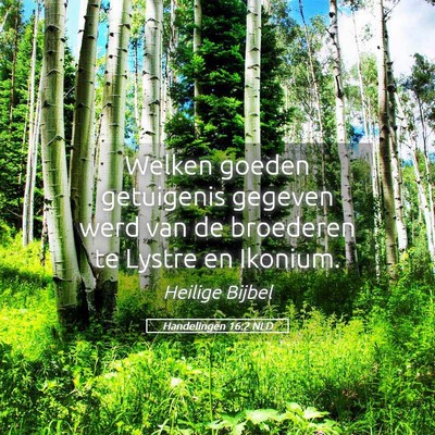 Picture 05 - Handelingen 16:2 NLD - Welken goeden getuigenis gegeven werd van de - Bible Verse Picture