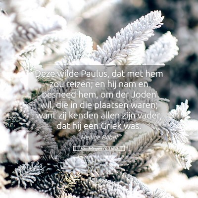 Picture 05 - Handelingen 16:3 NLD - Deze wilde Paulus, dat met hem zou reizen; en hij - Bible Verse Picture