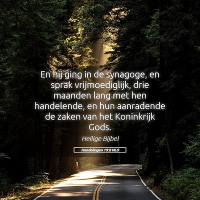 Picture 05 - Handelingen 19:8 NLD - En hij ging in de synagoge, en sprak - Bible Verse Picture