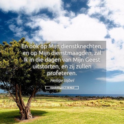 Picture 05 - Handelingen 2:18 NLD - En ook op Mijn dienstknechten, en op Mijn - Bible Verse Picture