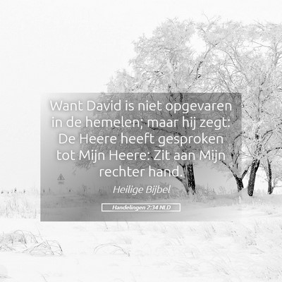 Picture 05 - Handelingen 2:34 NLD - Want David is niet opgevaren in de hemelen; maar - Bible Verse Picture