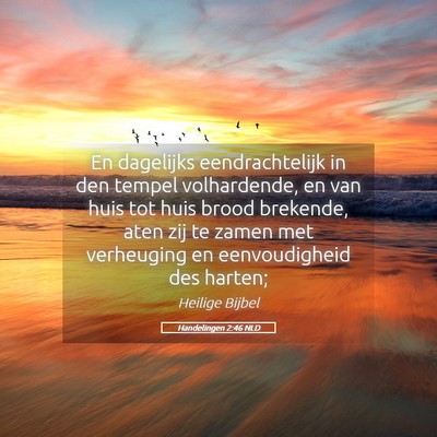 Picture 05 - Handelingen 2:46 NLD - En dagelijks eendrachtelijk in den tempel - Bible Verse Picture