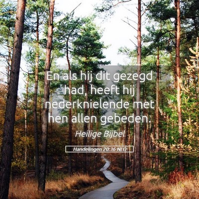 Picture 05 - Handelingen 20:36 NLD - En als hij dit gezegd had, heeft hij - Bible Verse Picture