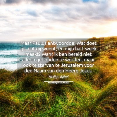 Picture 05 - Handelingen 21:13 NLD - Maar Paulus antwoordde: Wat doet gij, dat gij - Bible Verse Picture